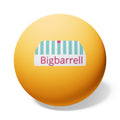 Ping Pong Balls (6-Pack) with Bigbarrell Logo – Table Tennis Practice & Party Set