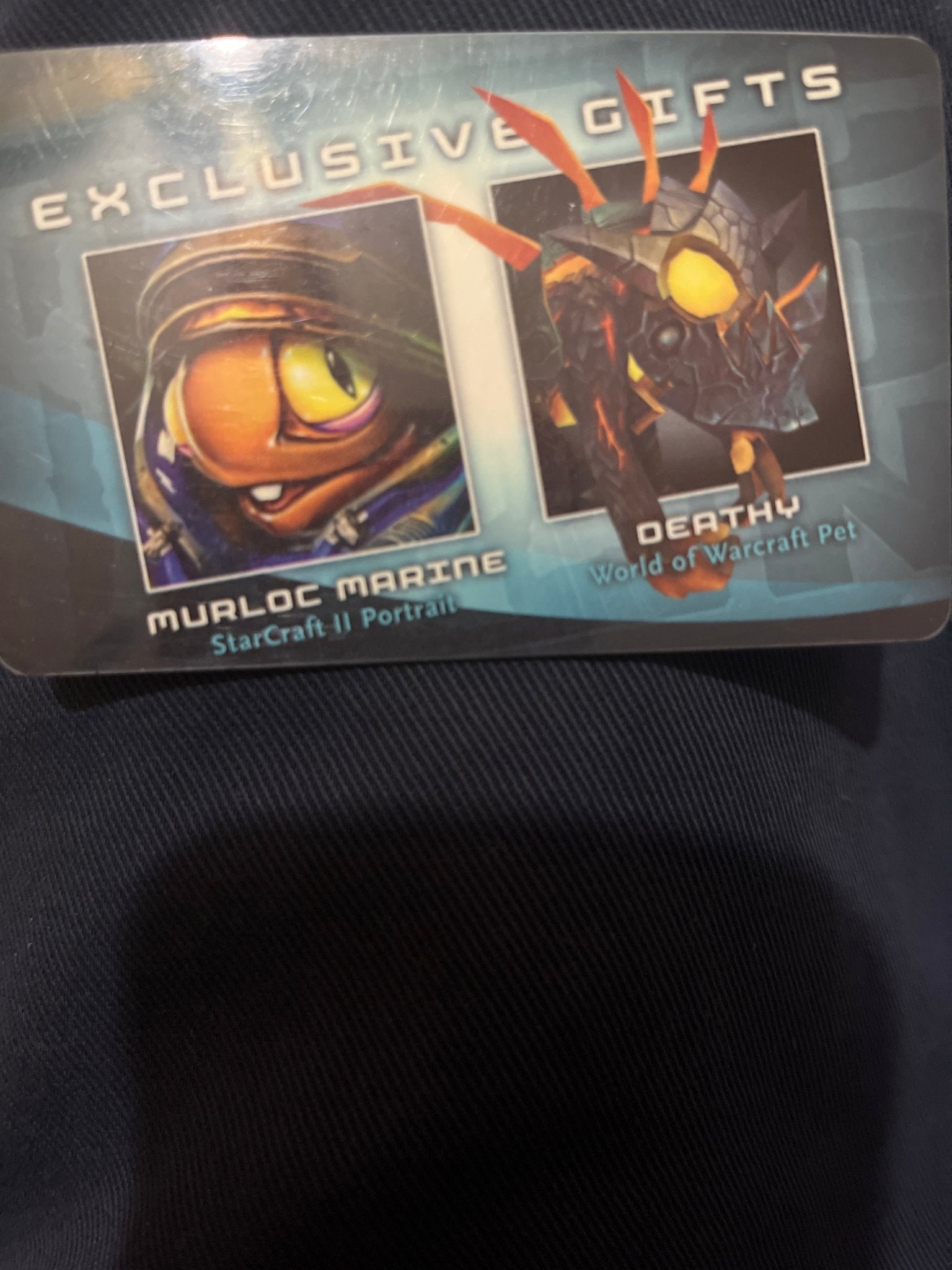 2010 Blizzcon deathy pet physical card - Bigbarrell Records Merchandise