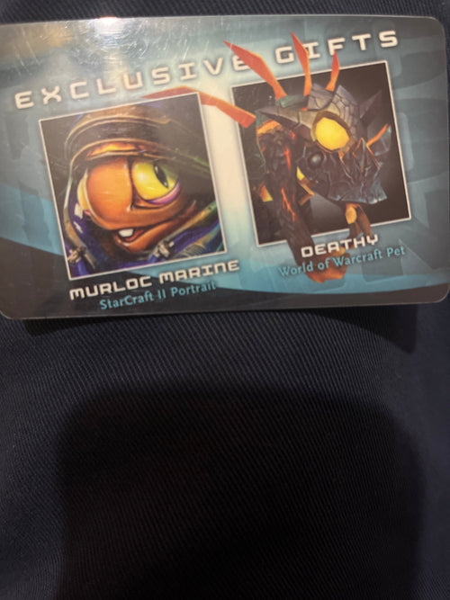 2010 Blizzcon deathy pet physical card - Bigbarrell Records Merchandise